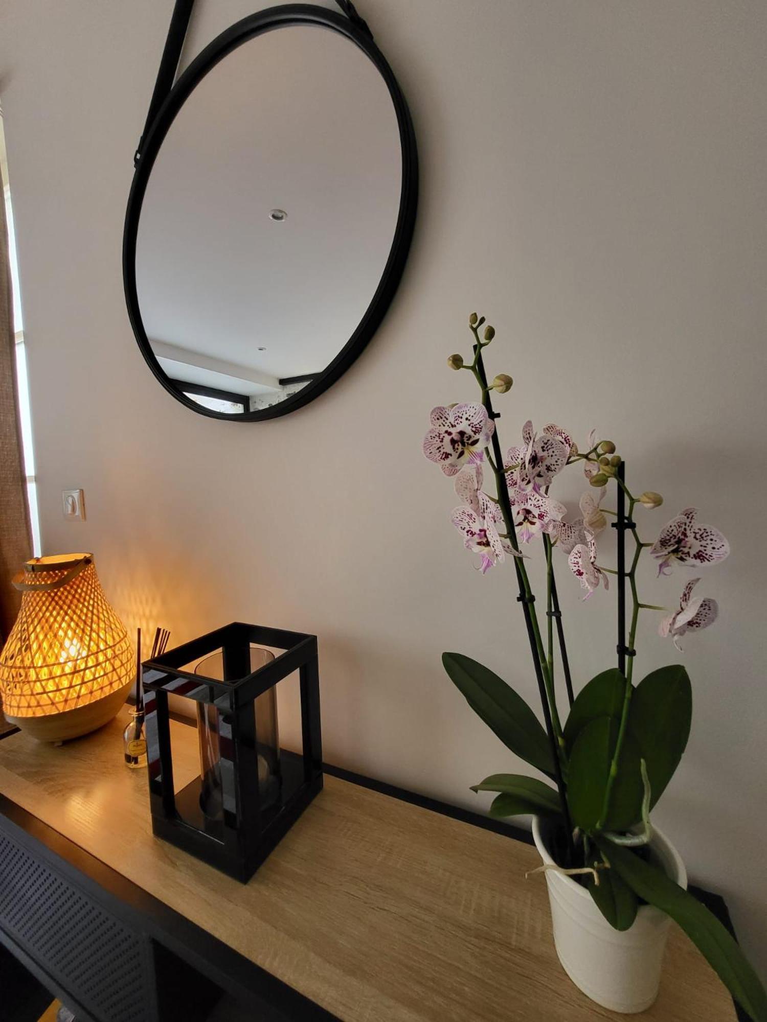 Le Patio - Calme - Hyper Centre Apartment